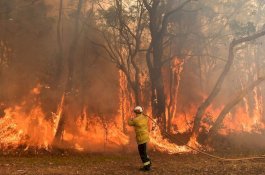 Pemadam Kebakaran Veteran Tewas Saat Memadamkan Api di Australia