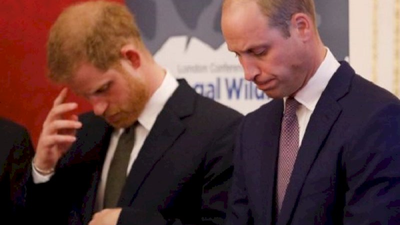 Pangeran Harry dan Pangeran William. (Foto: Getty Images)