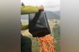 Australia Jatuhkan Lebih 1.800 Kg Makanan untuk Satwa Liar