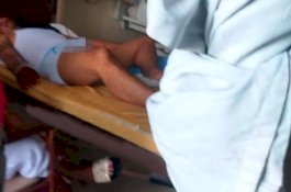 Pakai Obat Kuat Buat Sapi, Pria Ini Meringis Anunya Berdiri Sampai 3 Hari