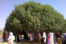 Inilah 'Sahabat' Nabi yang Masih Hidup Sampai Sekarang