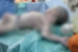 Bayi Baru Lahir Tewas Diserang Kawanan Anjing di Rumah Sakit