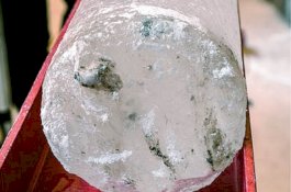 Virus Purba Misterius Ditemukan di Gletser Berusia 15.000 Tahun