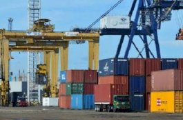 Bikin Biaya Logistik Membengkak, Asosiasi Perusahaan Logistik Tolak LSS