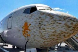 Ethiopian Airlines Batal Mendarat Setelah Bertabrakan dengan Jutaan Belalang