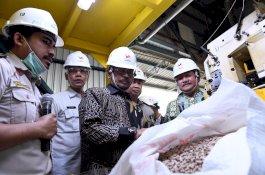 Sepanjang Desember 2019, Kenaikan Ekspor Sektor Pertanian Paling Tinggi