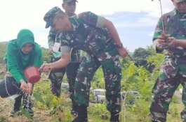 Dandim 1405 Pimpin Penanaman Pohon di Hutan Gundul Barru-Parepare