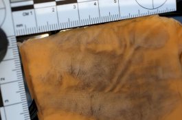 Ternyata Irisan Keju Menghasilkan Sidik Jari yang Luar Biasa, Ini Buktinya