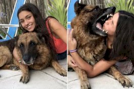 Niat Foto dengan Anjing Kesayangannya, Gadis Ini Dapat 40 Jahitan Usai Digigit