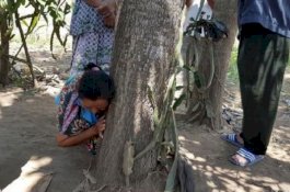 Bikin Takut saat Muncul Malam Hari, 5 Tahun Kerap Mendengar Pohon Menangis di Belakang Rumah