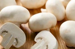 Jamur Kancing Aman Dikonsumsi Penderita Diabetes, Ini Penjelasannya!