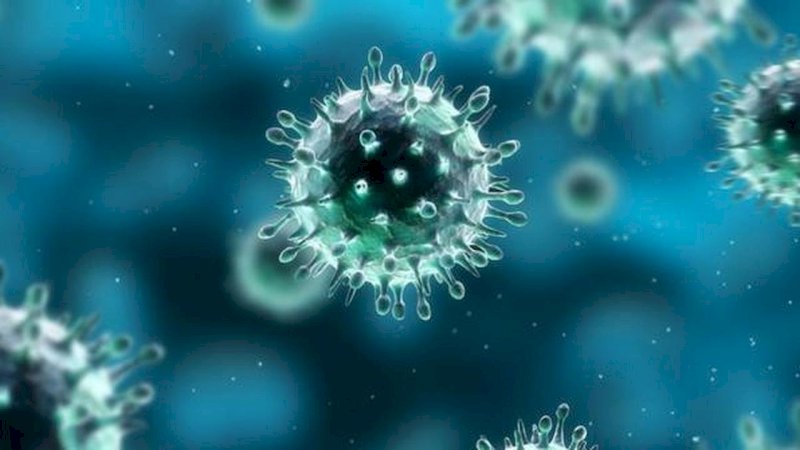 Ilustrasi virus