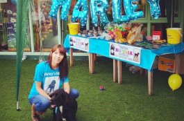 Ratusan Orang Hadiri Jalan-jalan Terakhir Anjing yang Sakit Parah