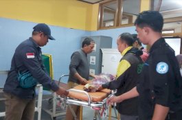 Selamat Jalan Adik Suryani, Balita asal Pangkep Pengidap Kanker Hati dan Infeksi Paru-paru