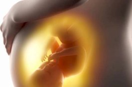 Ternyata Bayi Sudah Bisa Melihat Sejak Dalam Kandungan