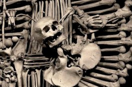 Polisi Temukan 288 Tulang Manusia di Rumah Putra Keluarga Kaya Thailand