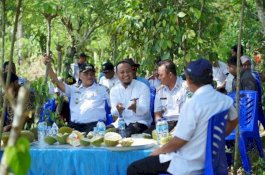 Pemprov Sulsel Benahi Bendung Makawa, Warga Luwu Undang Wagub Makan Durian