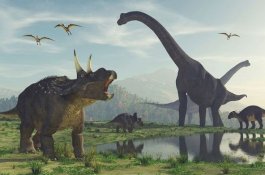 Malah Banyak yang Peliraha, Ada Dinosaurus Belum Punah Sampai Sekarang