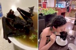 17 Orang Tewas, Ini Video Wanita Makan Sup Kelelawar yang Diduga Biang Virus Corona