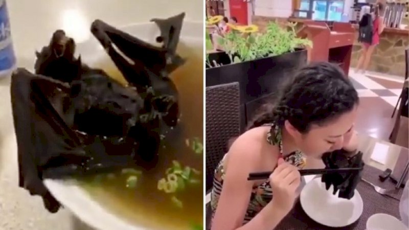 Cuplikan gambar video wanita China menyantap sup kelelawar di sebuah restoran di Wuhan. Makanan ini yang diduga berperan dalam penyebaran virus 2019 n-CoV, jenis baru dari virus corona. Foto/New York Post