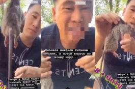 Pria Ini Merekam Video Mengunyah Lalu Menelan Tikus Mati
