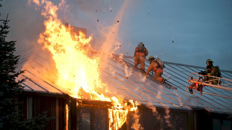 Derita Paranoia, Pria Ini Tewas Usai Bakar Rumah karena Takut Diserang