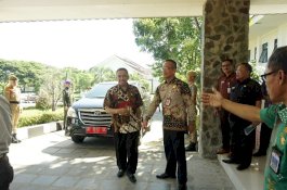 Jalan-Jalan Tinjau Aset yang Hendak Dihibahkan, Anggota DPRD Sulsel Sekaligus Tanam Pepaya Californi