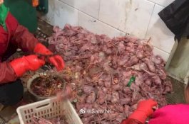 Jorok! Foto Pasar Hewan yang Diduga Sebagai Titik Penyebaran Virus Corona