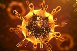 Corona Mewabah, Ternyata Ada Lab Virus Berbahaya di Wuhan