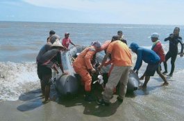 5 Jam Pencarian Korban Tenggelam di Jeneponto, Petani Rumput Laut Belum Ditemukan