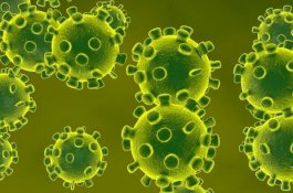 Prancis Perkuat Keamanan Bandara Usai Virus Corona Wuhan Masuk ke Eropa