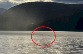 Saat Memancing, Pria ini Rekam Penampakan Monster Danau yang Terkenal