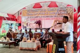 Siap Jadi Penyuplai Daging Sapi, Bupati Sinjai Undang Investor
