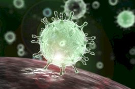 AS Siapkan Pesawat Charter untuk Evakuasi Warganya di Kota China