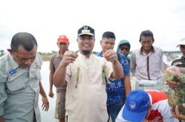 Panen Udang Windu di Takalar, Wagub Sulsel: Pemerintah Tak akan Sekadar Beri Program