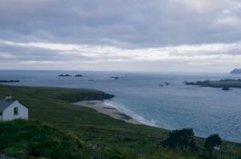 Mandi Air Beku dan Tanpa Listrik, Lowongan Penjaga Kafe di Pulau Ini Dilamar 23 Ribu Orang