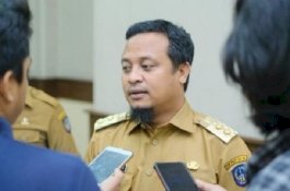 Virus Corona Mengancam, Wagub Sulsel Minta Perketat Bandara dan Pelabuhan