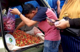 Harga Cabai Rawit di Gowa Turun, Pembeli Kok Masih Mengeluh?