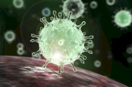 Analis Israel Menduga Coronavirus Adalah Senjata Biologis China yang Bocor