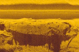 Bangkai Kapal Kargo Berusia 700 Tahun Ditemukan di Sungai