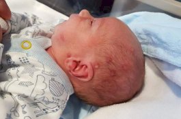 Jangan Biarkan Anak Anda Dicium Sembarang Orang, Nanti Hasilnya Begini