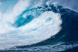 Peringatan Tsunami Bunyi Usai Jamaika Dilanda Gempa 7,7 Magnitudo