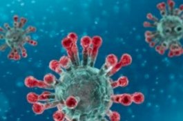 Pakar Mikrobiologi: Iklim Tropis Indonesia Buat Virus Corona Inaktif