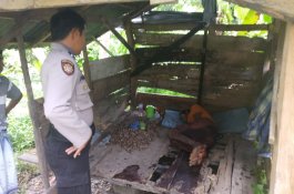 Warga Sinjai Potong Kelaminnya Pakai Celurit, Harus Dibujuk Biar Mau ke RS