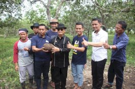 Bupati Enrekang Tertarik Budi Daya Porang di Kebun Wakil Ketua DPRD Sulsel, Ini Alasannya
