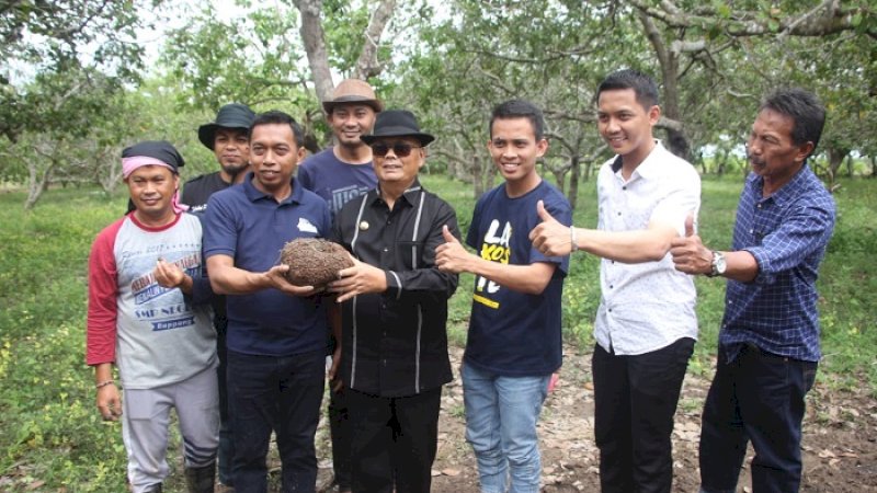 Bupati Enrekang, Muslimin Bando dan Wakil Ketua DPRD Sulsel, Syaharuddin Alrif menunjukkan porang, Sabtu (1/2/2020).