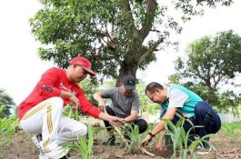 Akhir Pekan Bupati Bantaeng: Joging Dahulu, Tanam Pohon Kemudian