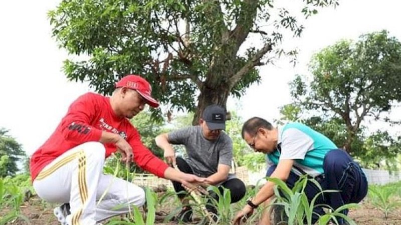 Minggu (2/2/2020), Bupati Bantaeng, Ilham Azikin, mengisi akhir pekan dengan olahraga joging dan tanam pohon.