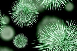 8 Kasus Virus Corona di Amerika, Pentagon Siapkan Karantina