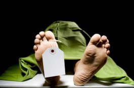 Mayat Wanita yang Sudah Membusuk Ditemukan di Hutan, Diduga Dijadikan Tumbal